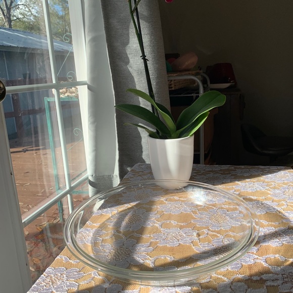 Pyrex plates - Picture 8 of 13